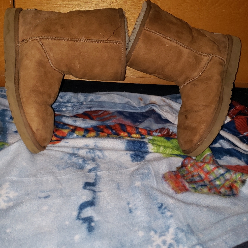 Chestnut uggs